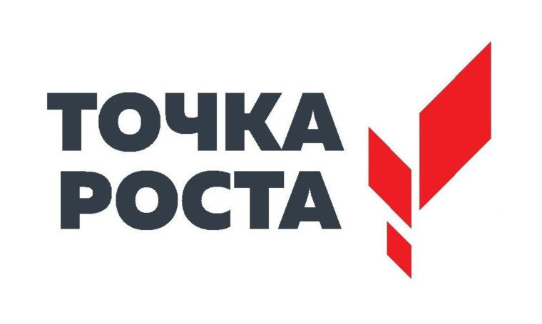 Конкурс мини-проектов обучающихся Алейского района, посещающих центры «Точка роста» «Мастерская проектов».
